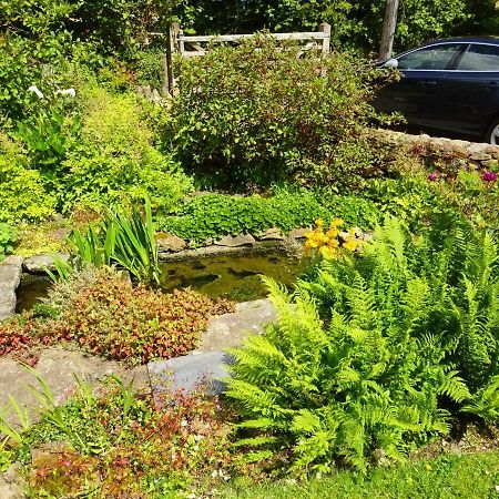Tabor House B&B Fishguard Zewnętrze zdjęcie