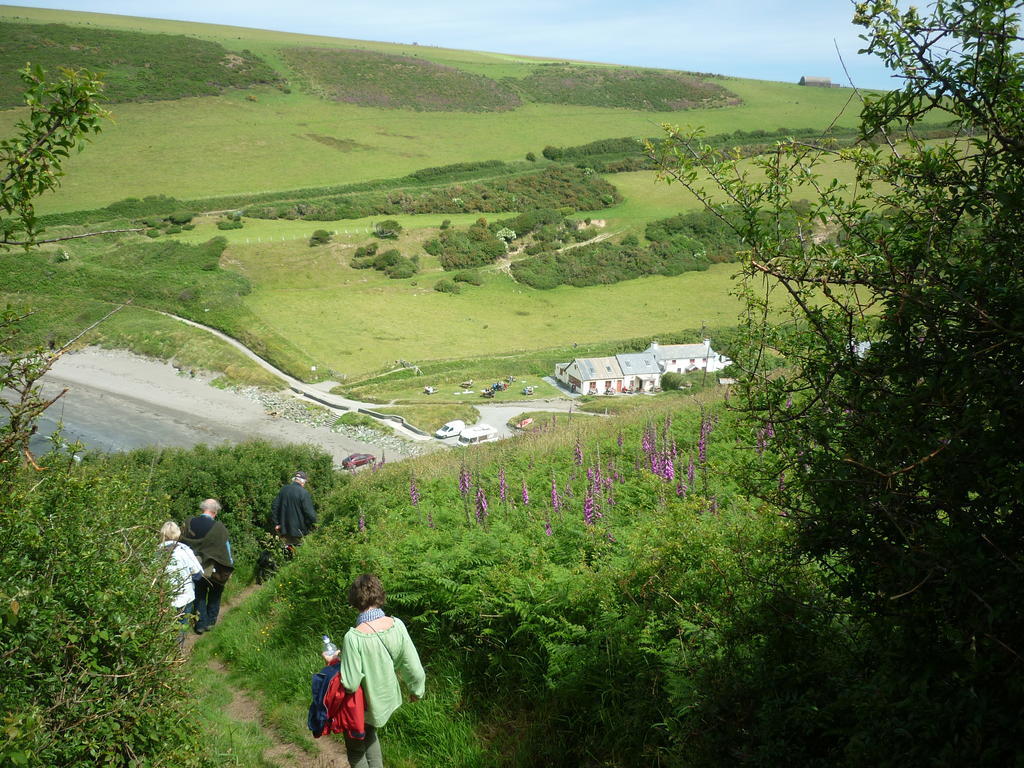 Tabor House B&B Fishguard Zewnętrze zdjęcie