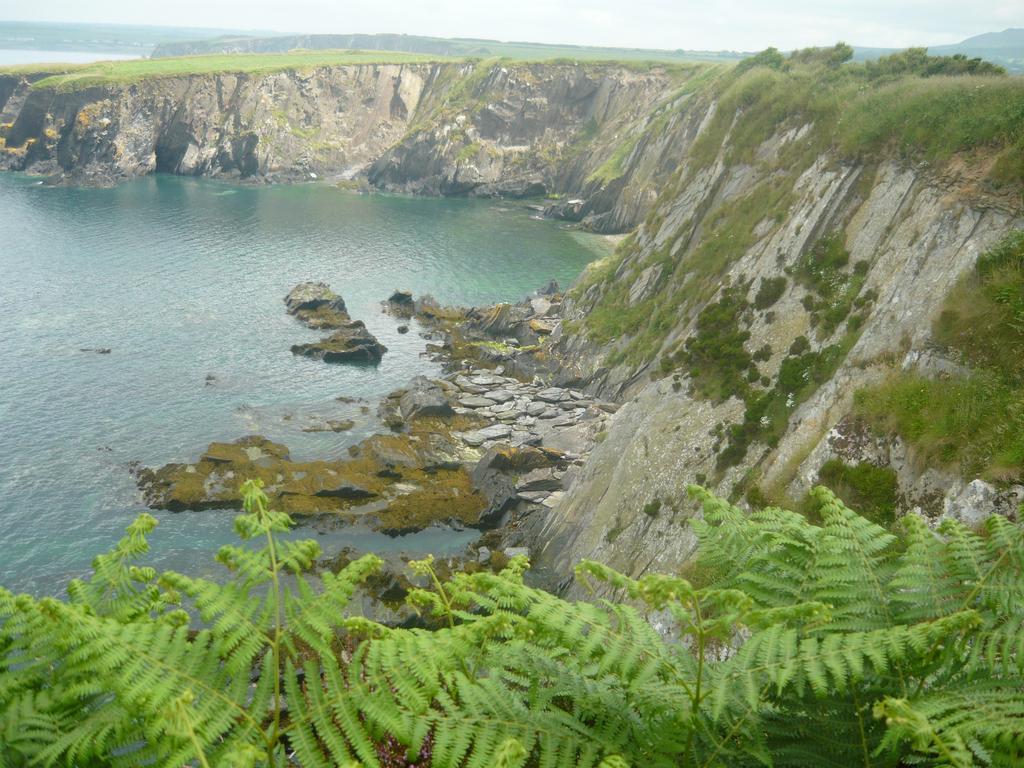 Tabor House B&B Fishguard Zewnętrze zdjęcie