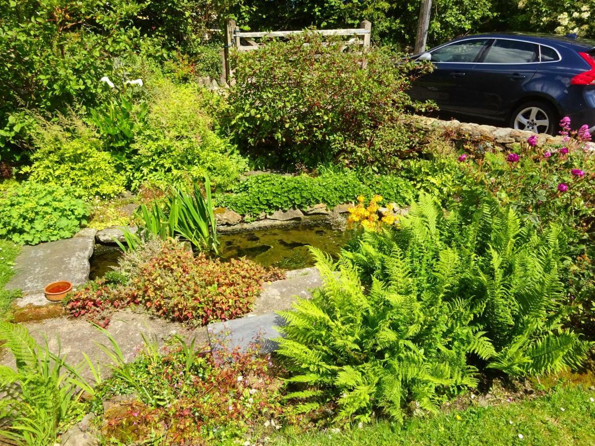 Tabor House B&B Fishguard Zewnętrze zdjęcie